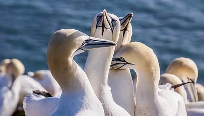 九游JIUYOU SPORTS_ 2025中国足球产业峰会即将举行，行业大咖云集，中国足球产业发展报告