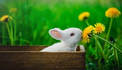 “九游app_ 未来潜力：年度最具潜力的新秀盘点”，2021九游